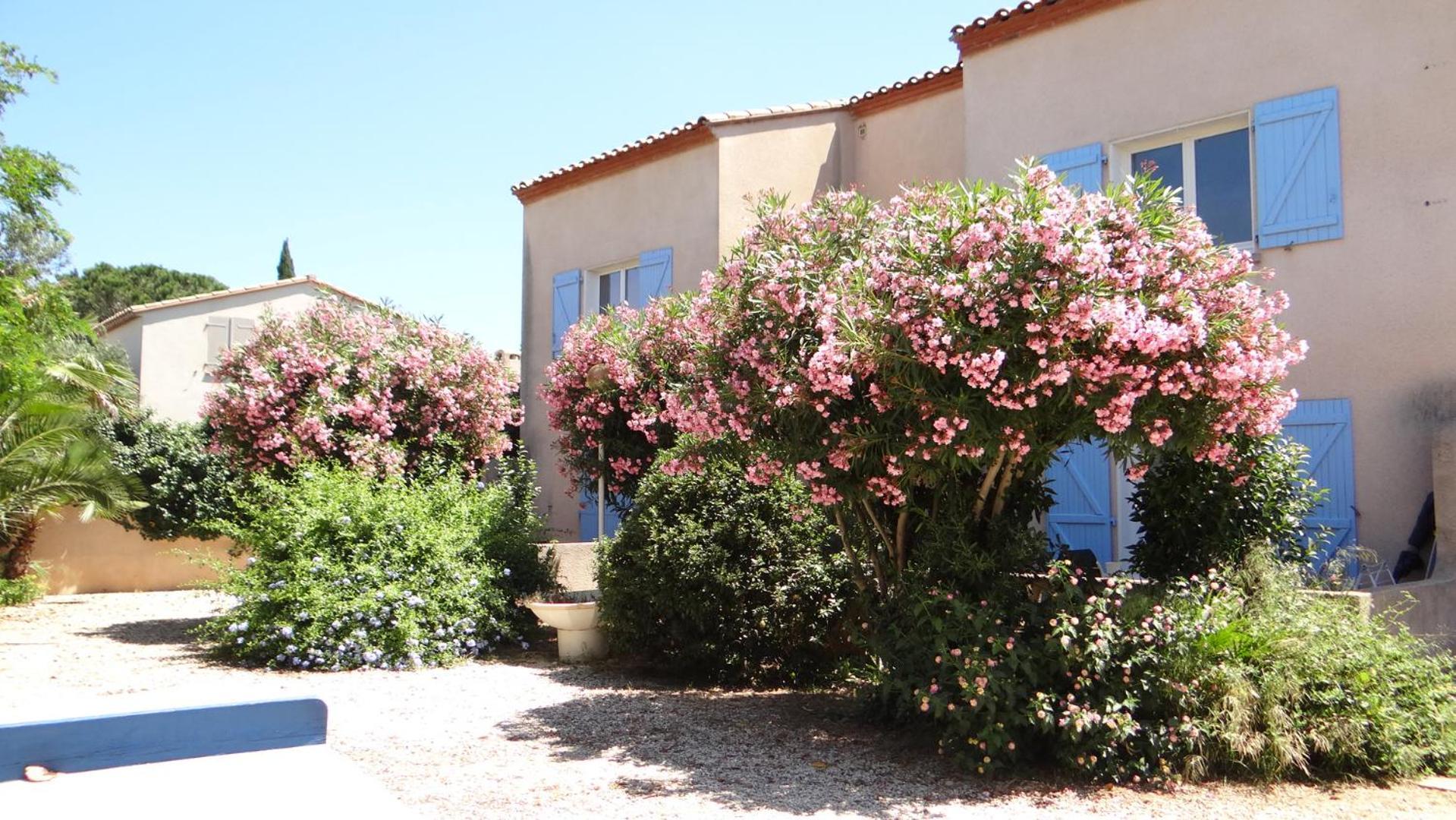 L'orangeraie Appartement *